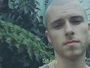 Tofu_boy