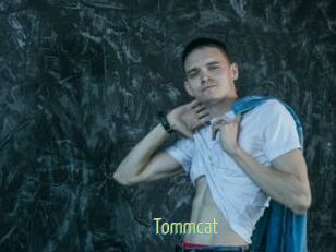 Tommcat