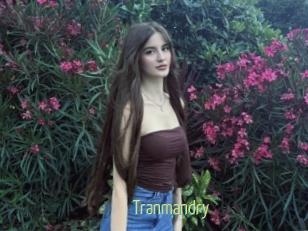 Tranmandry
