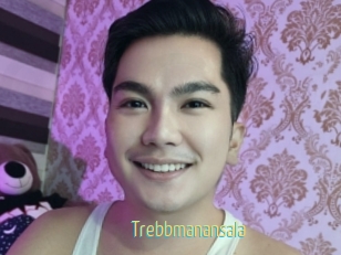 Trebbmanansala
