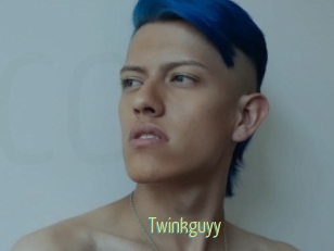 Twinkguyy
