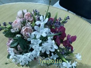 tywebb110 Chaturbate Cam Sexe