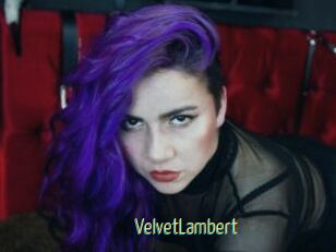 VelvetLambert