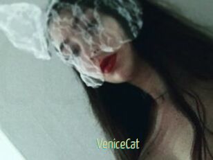 VeniceCat