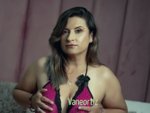Vaneortiz