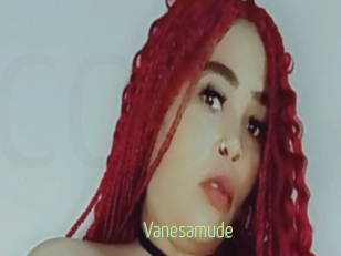 Vanesamude