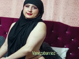 Vanezabarrioz