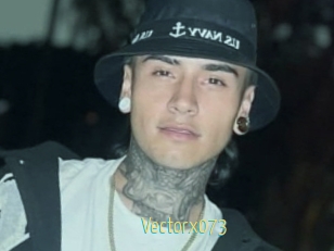 Vectorx073
