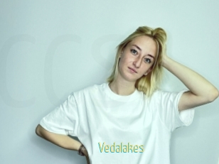 Vedalakes