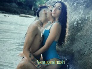 Venusandnoah