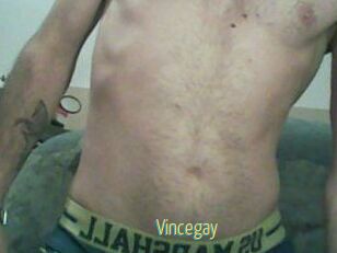 Vincegay
