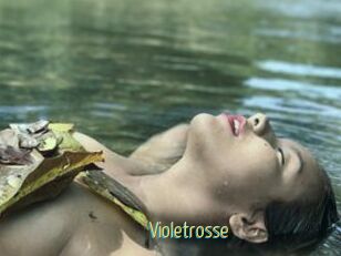 Violetrosse