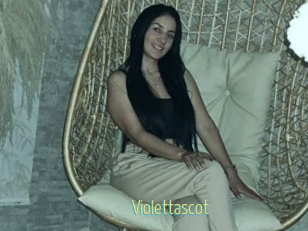 Violettascot