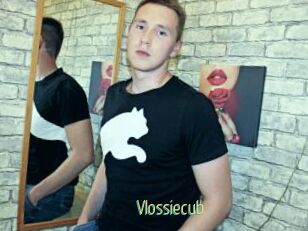 Vlossiecub