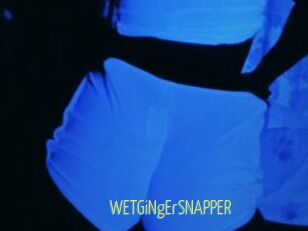 WETGiNgErSNAPPER