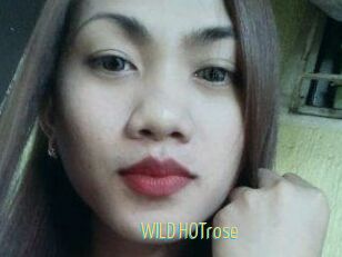 WILD_HOTrose