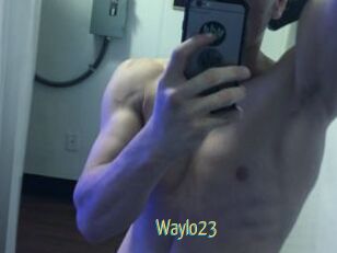 Waylo23