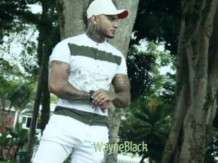 WayneBlack