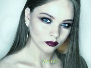 Wet_catt
