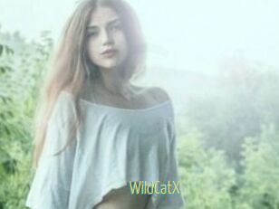 Wild_CatX