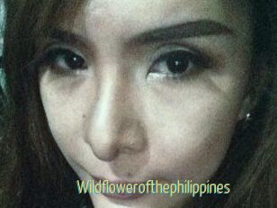 Wildflowerofthephilippines
