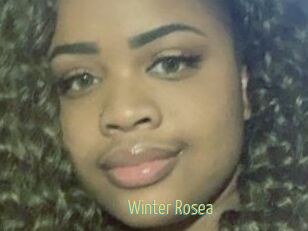 Winter_Rosea