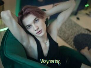 Waynering