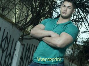 Waynneprice