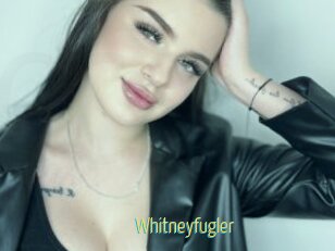 Whitneyfugler