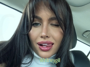 Whitneygill