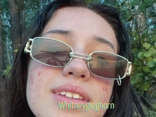 Whitneygleghorn