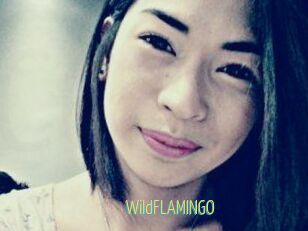 WildFLAMINGO