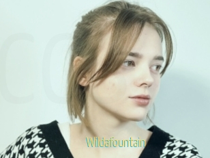 Wildafountain
