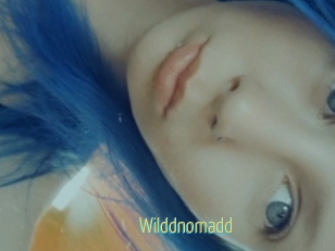 Wilddnomadd