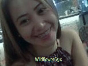 Wildflower69x