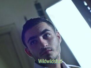 Wildwildstud
