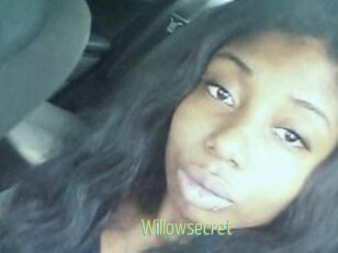 Willow_secret
