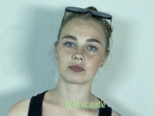 Wilonacaudle