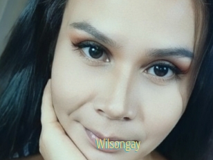 Wilsongay