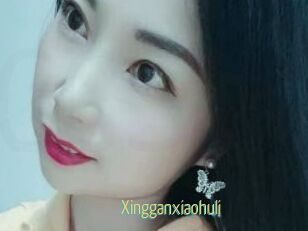 Xingganxiaohuli