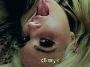 _x_Bunny_x_