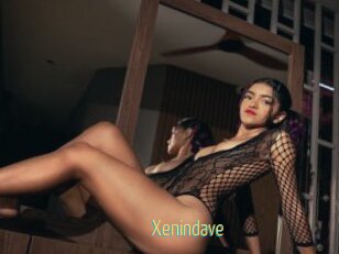 Xenindave
