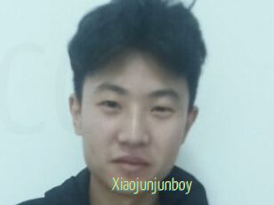 Xiaojunjunboy