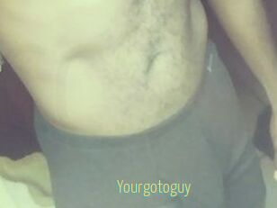 Yourgotoguy