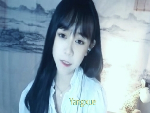 Yangxue