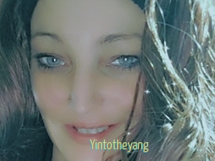 Yintotheyang