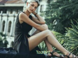 Yourbird