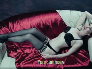 Yourcummary