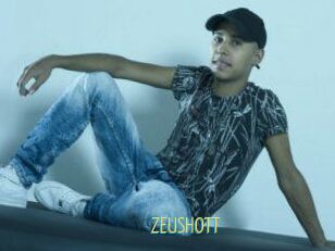 ZEUSHOTT