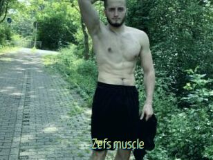 Zefs_muscle